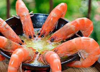 广州白灼虾的家常做法 健康快捷又营养的鲜虾吃法