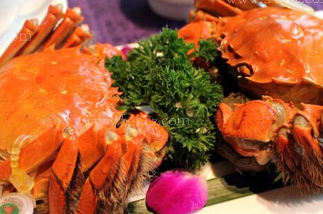 清蒸大闸蟹是哪个地方的菜系-清蒸大闸蟹的做法大全