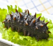 【海参怎么发】海参的家常做法-海参的营养价值