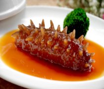 【鲍汁海参的做法 】鲍汁海参的营养价值-鲍汁海参的食材挑选