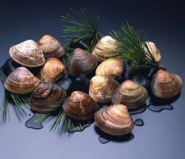 【河蚌怎么洗】河蚌怎么吃-河蚌的做法大全