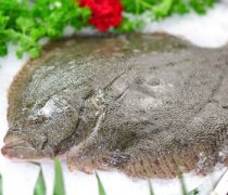 【多宝鱼是淡水鱼吗】多宝鱼的营养价值-多宝鱼的食用禁忌
