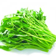【空心菜的做法】空心菜怎么做好吃-空心菜的做法大全