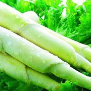 【茭白的做法】茭白的做法大全-茭白怎么做好吃