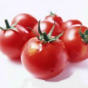 【西红柿炒菜花】西红柿炒菜花的做法-西红柿炒菜花的营养价值