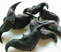 【菱角怎么吃】菱角的做法-菱角怎么做好吃
