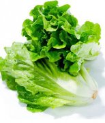 【生菜怎么做好吃】生菜的做法大全-生菜的热量