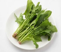 【菠菜和什么一起吃好】菠菜不能和什么一起吃-菠菜的做法有哪些