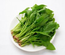 【菠菜的营养成分】菠菜的功效与作用-菠菜的做法大全