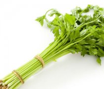 【细芹菜的做法大全】细芹菜的营养价值-细芹菜叶可以吃吗