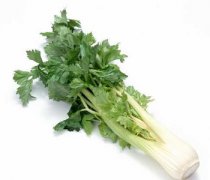 【芹菜的做法】芹菜怎么做好吃-芹菜叶的做法