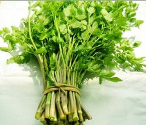 【野芹菜的功效与作用】野芹菜的营养价值-野芹菜怎么做好吃