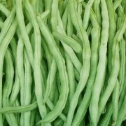 【四季豆中毒】四季豆中毒症状-四季豆中毒原因-四季豆中毒怎么办