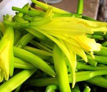 【凉拌黄花菜的做法】凉拌黄花菜的功效和作用-凉拌黄花菜的营养价值