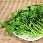【香菜的功效与作用】香菜的功效-香菜的营养价值