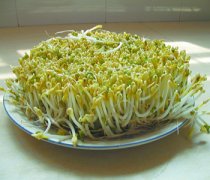 【酸辣绿豆芽的做法】酸辣绿豆芽的营养价值-酸辣绿豆芽的热量