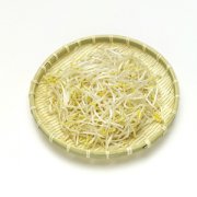 【绿豆芽的功效与作用】绿豆芽的家常做法-绿豆芽的热量高吗