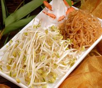 【绿豆芽炒粉条】绿豆芽炒粉条的做法-绿豆芽炒粉条的营养价值-绿豆芽