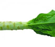 【莴笋叶的做法】莴笋叶的营养价值-莴笋叶的食用禁忌