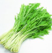 【茼蒿的做法】茼蒿的做法大全-茼蒿怎么做好吃-茼蒿怎么吃