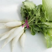 【白萝卜的营养价值】白萝卜的药用价值-白萝卜的适用人群