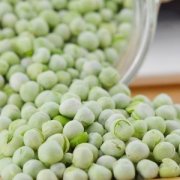 【五花肉炒荷兰豆】五花肉炒荷兰豆的做法-五花肉炒荷兰豆应注意什么
