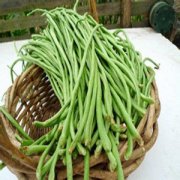 【豇豆的热量】豇豆的食疗价值-豇豆的注意事项