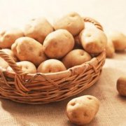 【发芽的土豆能吃吗】土豆皮发绿能吃吗-如何选购土豆
