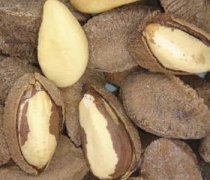 【鲍鱼果的营养价值】鲍鱼果的功效与作用-鲍鱼果怎样吃