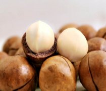 【夏威夷果怎么开】开夏威夷果的注意事项-夏威夷果的适宜人群