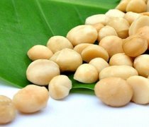 【夏威夷果仁】什么是夏威夷果仁-夏威夷果仁炒虾仁