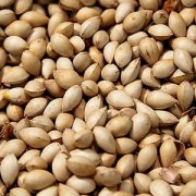 【白果炖鸡的做法】白果炖鸡的营养价值-白果炖鸡的食疗作用