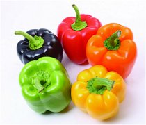 【柿子椒怎么做好吃】柿子椒的营养价值-柿子椒怎么挑选