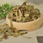 【中药枇杷叶的功效与作用】中药枇杷叶有副作用吗-中药枇杷叶要怎么