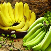 【香蕉什么时候吃治便秘】香蕉怎么吃能治便秘-吃哪种香蕉能治便秘