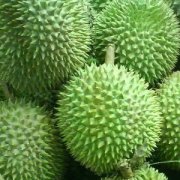 【榴莲壳怎么吃】榴莲壳煲鸡汤-榴莲壳的功效与作用