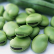 【蚕豆的做法】蚕豆的功效与作用-蚕豆的营养价值