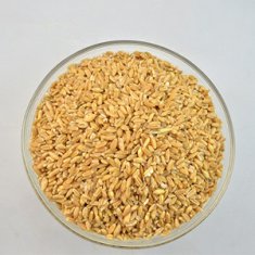 浮小麦和小麦的区别有哪些浮小麦和小麦的功效有什么不同