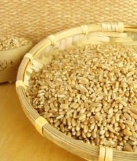 淮小麦的功效与作用淮小麦对人体有哪些好处