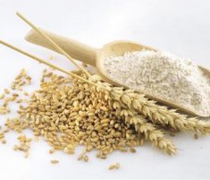 孕妇可以吃小麦吗小麦的营养价值
