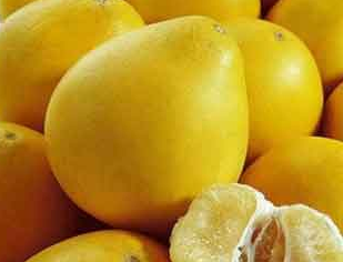 推荐半月瘦4斤柚子减肥法