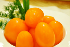 黄柿子和红柿子有什么区别黄柿子和红柿子是同一种吗