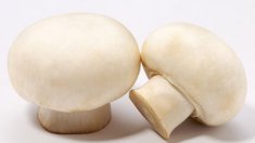 做法式奶油蘑菇汤用什么蘑菇